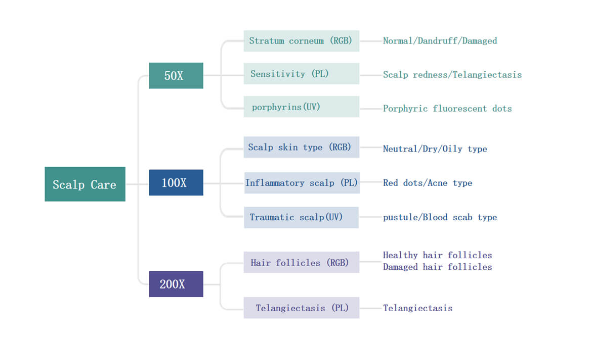 AI hair scalp analyzer giving report and recommendation -  - 1